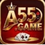 A55 Game